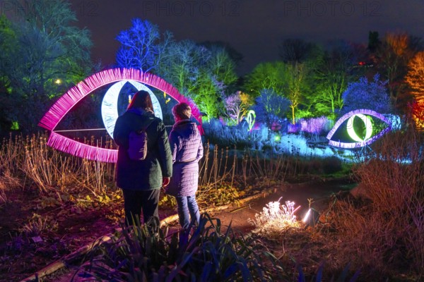Parkleuchten, event in winter, in the Grugapark in Essen, many different light installations, across the park, attract many thousands of visitors, North Rhine-Westphalia, Germany, Europe