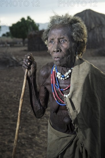 Ethnic group of the Arbore: Old woman adorned with colourful beaded necklaces and metal bracelets, Southern Omo Valley, Ethiopia, Africa