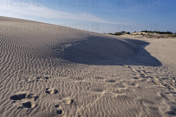 Dune landscape around the Lontz Dune, Wydma Lacka, the largest travelling dune on the Polish Baltic coast. It is located in the Slowinski National Park and is part of the UNESCO Slowinksi Biosphere Reserve. Leba, Pomerania, Poland, Europe