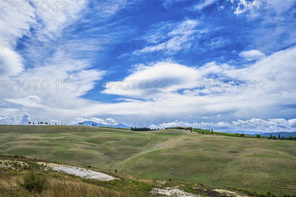 Landscape near Torrenieri, Tuscany, Italy, Europe