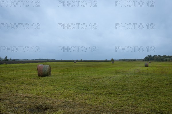 Large field with several hay bales under a wide sky, Lake Neusiedl National Park, Burgenland, Austria, Europe