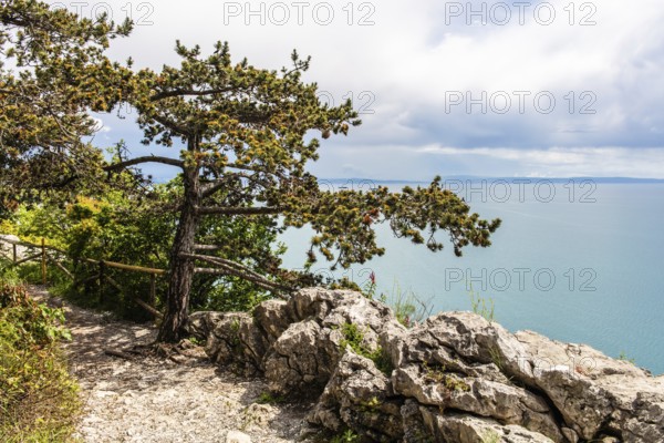 Rilkeweg, hiking trail from Duino to Sistiana, Friuli, Italy, Duino, Friuli, Italy, Europe