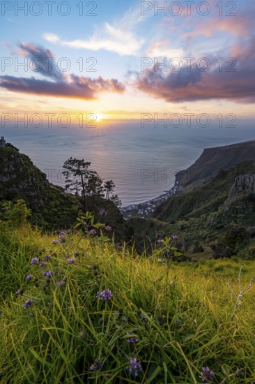 Evening mood, green coastal landscape on a steep cliff at sunset, sea and coast, viewpoint Miradouro da Raposeira, Paul do Mar, Madeira, Portugal, Europe