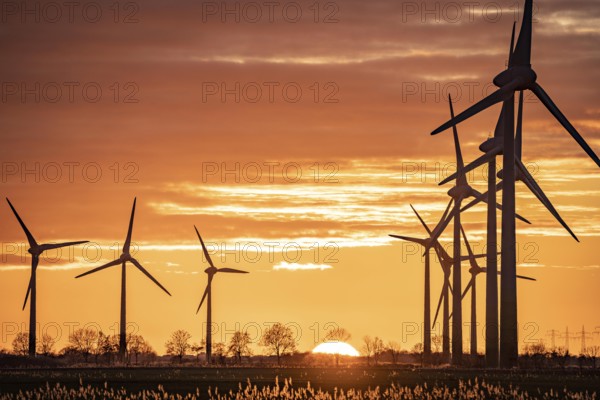 Wind farm near the East Frisian town of Norden, east of the town, sunset, Lower Saxony, Germany, Europe