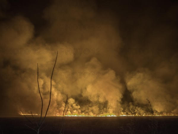 Burning fields, Shevchenkove, Kharkiv Oblast, Ukraine, Europe