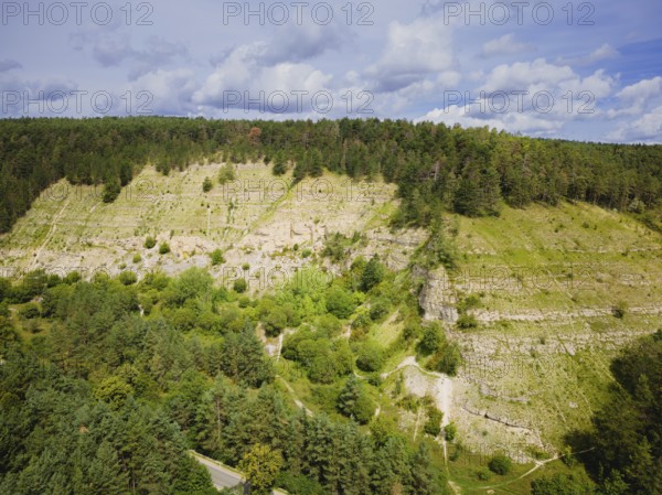 The Ohrdruf satellite camp was established in November 1944. On Hitler's orders, a new Führer headquarters was to be built in the Jonastal, Arnstadt, Thuringia, Germany, Europe