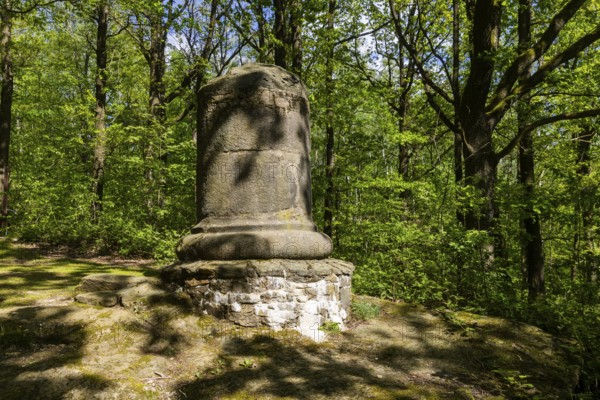 Firsten quarry in the Königshain mountains, Königshain, Saxony, Germany, Europe