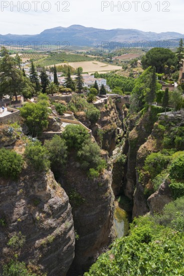 Deep ravine with green vegetation surrounded by white buildings and mountain landscape in Ronda, view from El Puente Nuevo, the new bridge, old town, Ronda, Málaga province, Malaga, Andalucia, Spain, Europe