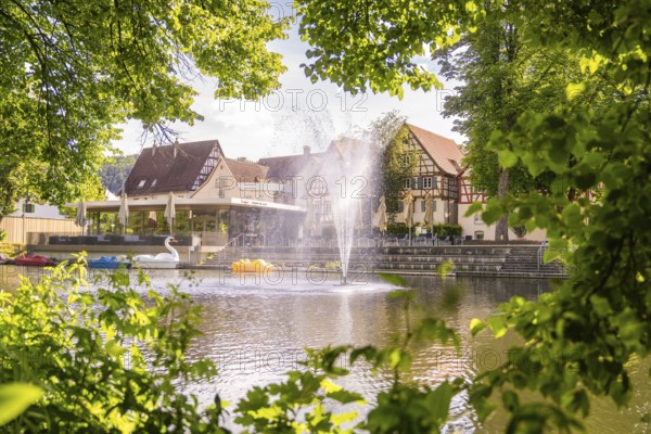A lake with a fountain and traditional houses, an idyllic and summery city view, Stadtpark Kleb, Nagold, Black Forest, Germany, Europe