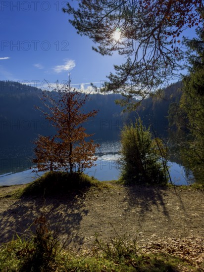 Autumn atmosphere at Hechtsee lake near Kufstein, Tyrol, Austria, Europe
