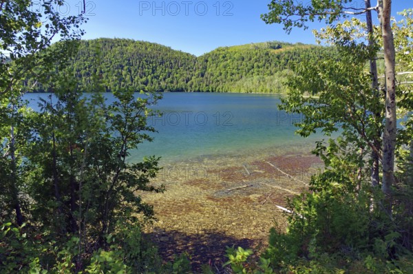 A clear lake seen from a wooded shore surrounded by green mountains under a blue sky, Gaspesie, Quebec, Canada, North America