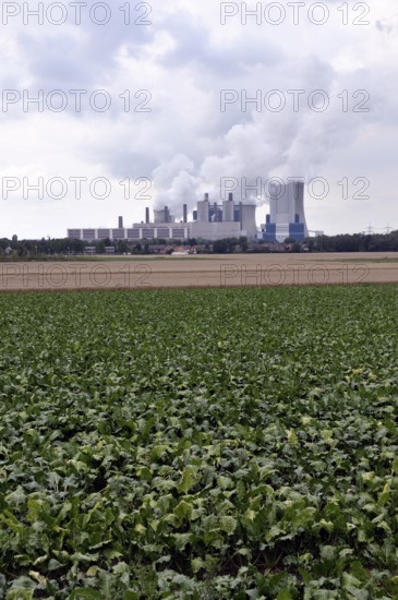 Niederaußem power plant, a base-load power plant operated by RWE PowerAG using lignite in Bergheim-Niederaußem, Rhine-Erft district, North Rhine-Westphalia, Germany, Europe