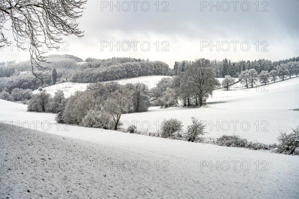 Snowy winter landscape in the Sauerland, Sundern, Hochsauerlandkreis, North Rhine-Westphalia