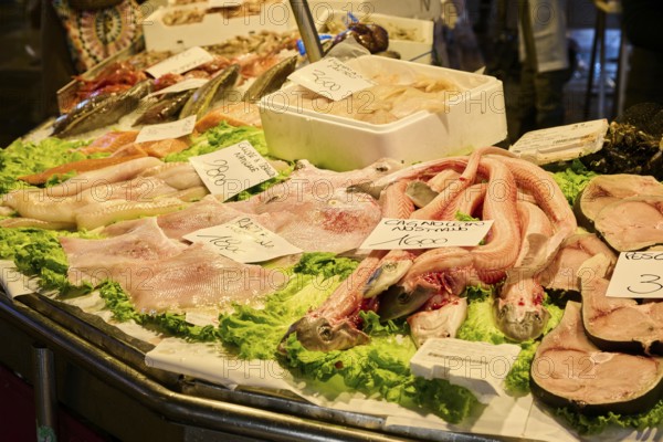 Fresh cought fish for selling on a daily market at 'Mercato di Rialto' town square in Venice, Italy, Europe