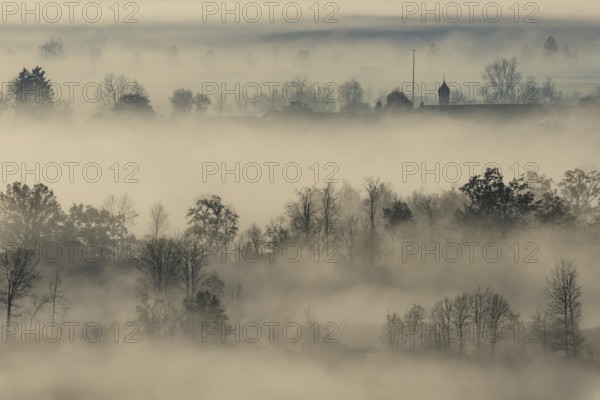 Foggy mood, fog, morning light, backlight, church tower, autumn, Loisach-Lake Kochel moor, view of Schlehdorf, Alpine foothills, Bavaria, Germany, Europe