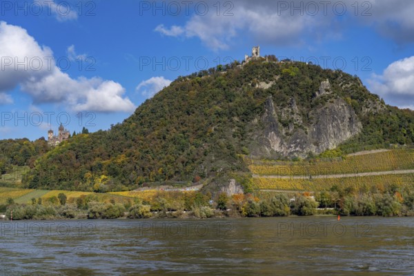 Drachenfels, a mountain in the Siebengebirge on the Rhine between Bad Honnef and Königswinter, with Drachenfels castle ruins and Drachenburg castle, left, boat traffic on the Rhine, North Rhine-Westphalia, Germany, Europe