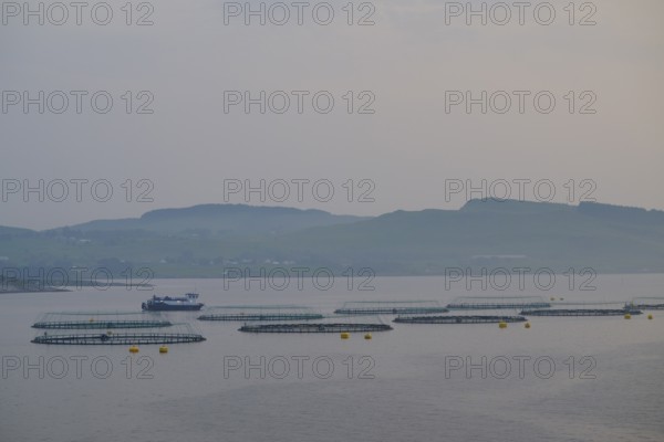 Quiet sea fish farm, salmon farming, Bergen, North Sea, Norway, Europe