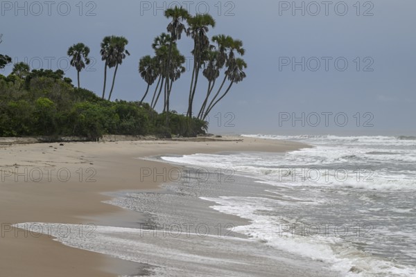 Beach, Petit Loango, Loango National Park, Parc National de Loango, Ogooué-Maritime Province, Gabon, Africa