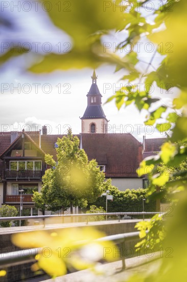 View of a church and houses in the village surrounded by trees on a sunny day, Nagold, Black Forest, Germany, Europe