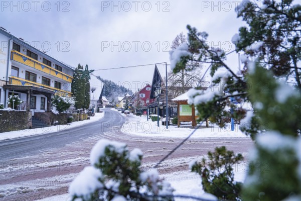 Snowy road through a wintry village with trees and traditional houses, Enzklösterle, district of Calw, Black Forest, Germany, Europe