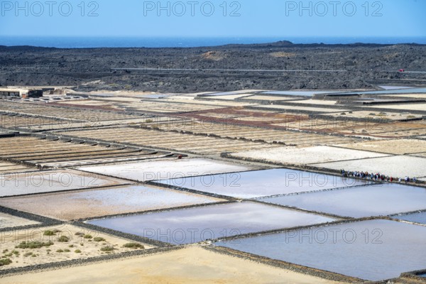 Sea salt extraction, Janubio salt works, Salinas de Janubio, Lanzarote, Canary Islands, Spain, Europe