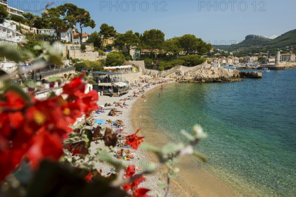 Beach, Cassis, Bouches-du-Rhone, Provence-Alpes-Côte d'Azur, South of France, France, Europe