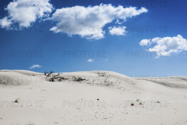 Lonely white sandy beach with dunes, Porto Pino, Sardinia, south coast, Italy, Europe