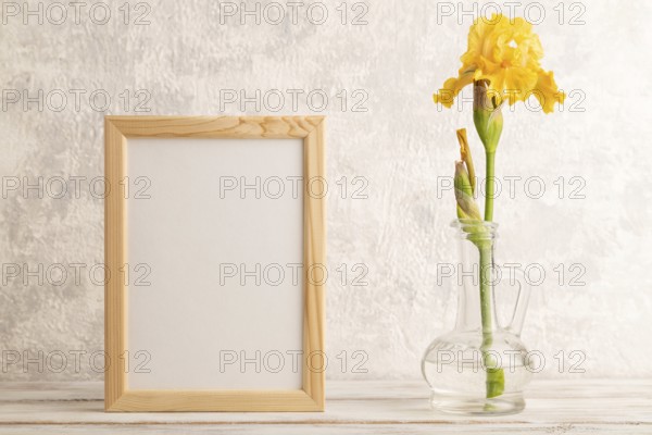 Wooden frame with yellow iris flower in glass on gray concrete background. side view, copy space, mockup, template, spring, summer minimalism concept
