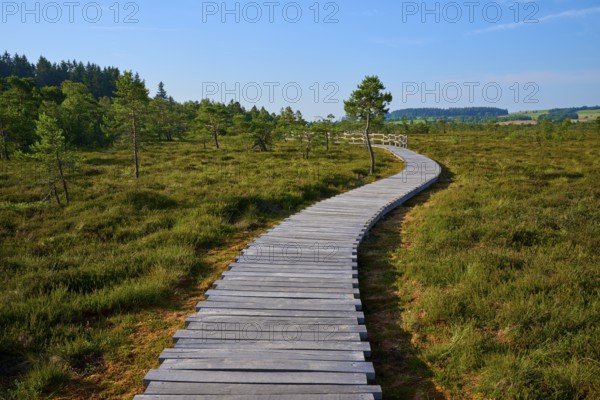 A winding wooden boardwalk leads through a green landscape under a blue sky, Schwarzes Moor, Fladungen, Rhön, Bavaria, Germany, Europe