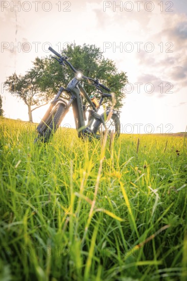 E-bike in high grass at sunset with trees in the background and bright sky, forest bike, e-bike, Calw, Black Forest, Germany, Europe