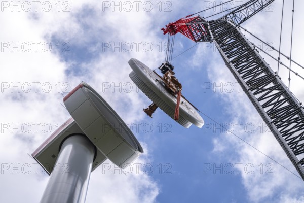 Erection of a wind turbine, wind energy plant, assembly of the ring generator, with a crawler lattice crane, wind farm near Hagen, North Rhine-Westphalia, Germany, Europe