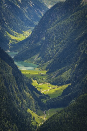 View of a sloping valley with a river, surrounded by green forests and high mountains, Stilluptal, Zillertal. Austria