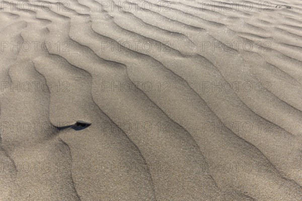 Fine sand moulded by the wind on a beach. Crozon, Finistere, Brittany, France, Europe