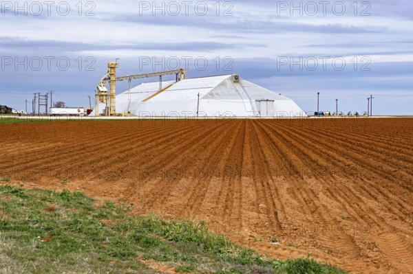 Storage facility, warehouse and elevator for peanuts in Texas, United States, USA, North America