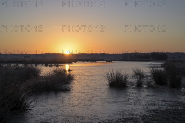 Blänke on a wet meadow, at frost, sunrise, morning, NSG Dingdener Heide, North Rhine-Westphalia, Germany, Europe