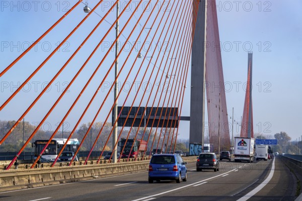 Friedrich Ebert Bridge over the Rhine near Bonn, also known as the North Bridge, motorway bridge on the A565, cable-stayed bridge, North Rhine-Westphalia, Germany, Europe