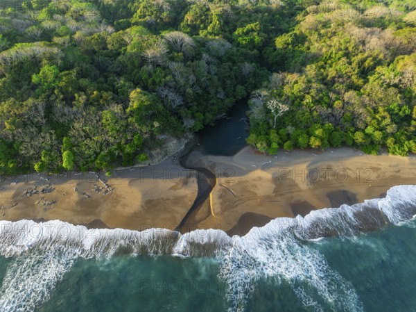 Aerial view, top-down, rainforest, sandy beach and coast with waves, Playa Cocalito, Puntarenas, Costa Rica, Central America