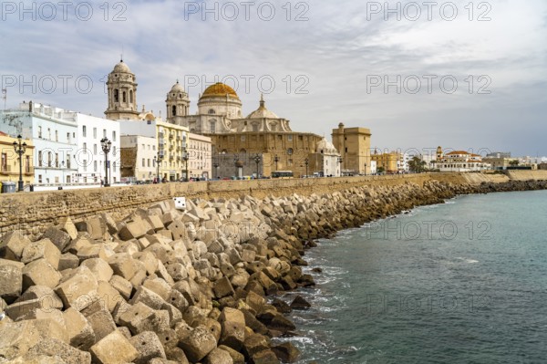 Waterfront and the Cathedral of Cádiz, Andalusia, Spain, Europe