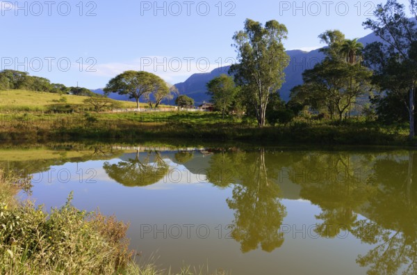 Trees reflecting in a pond, Serra da Canastra, Minas Gerais state, Brazil, South America