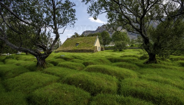 Hofskirkja church with grass roof and grass-covered graves, Öræfi region, South Iceland, Iceland, Europe