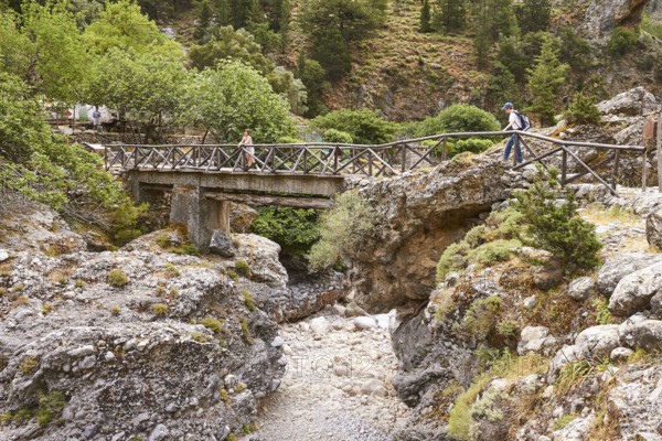 Bridge over stream, hikers on bridge, Samaria settlement, rest area, Samaria gorge, Samaria, gorge, national park, Omalos, Lefka Ori, White Mountains, West Crete, island of Crete, Greece, Europe