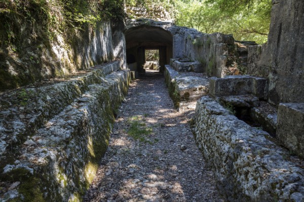Remains of the medieval monastery of Caluc, Prieuré de Carluc, Cereste, Alpes-de-Haute-Provence department, Provence, France, Europe