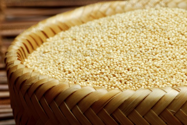 Amaranth (Amaranthus) in a bowl