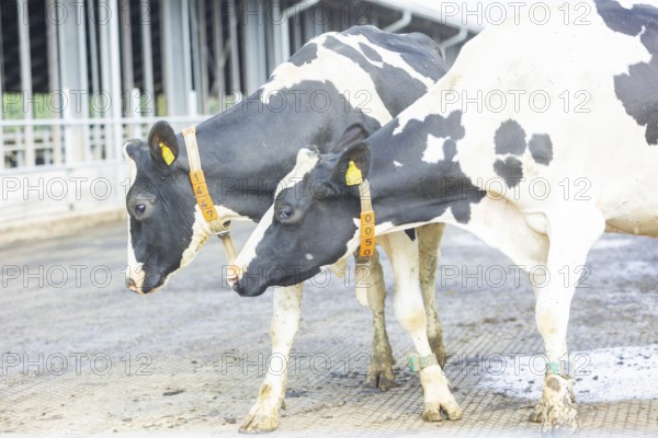 Federal Minister of Food and Agriculture, Cem Özdemir, visits Großdrebnitzer Agrarbetriebsges. mbH together with Saxony's Minister of Agriculture, Wolfram Günther