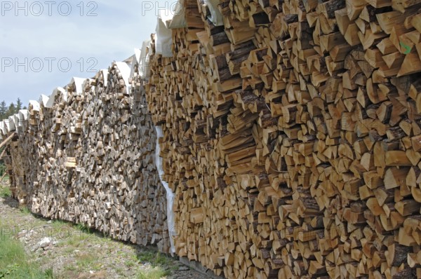 Firewood, split 1 metre pieces, bundled in stere, for sale
