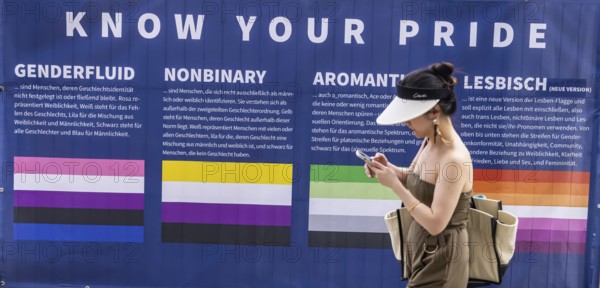 Banner with definition of terms: Genderfluid, Nonbinary, Aromantic or just Lesbian? A colour code for gender provides clarity, Christopher Street Day in Stuttgart, Baden-Württemberg, Germany, Europe