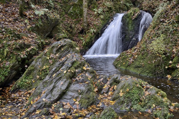 Waterfall in the wild Endert Valley, Moselle, Rhineland-Palatinate, Germany, Europe
