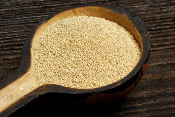 Amaranth (Amaranthus) wooden spoon
