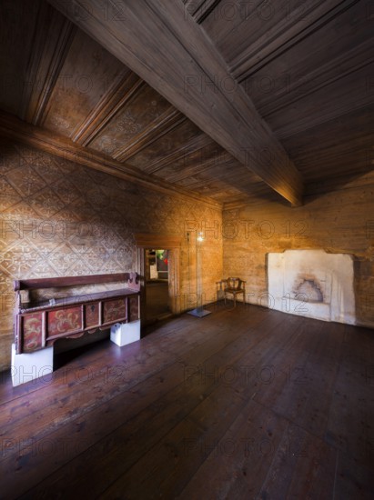 Schönfels Castle Late Gothic Plank Room