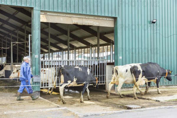 Federal Minister of Food and Agriculture, Cem Özdemir, visits Großdrebnitzer Agrarbetriebsges. mbH together with Saxony's Minister of Agriculture, Wolfram Günther